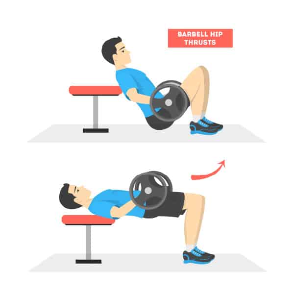 barbell hip thrust