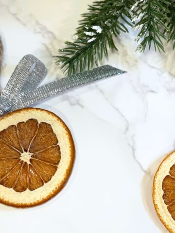 dry orange slices in the oven